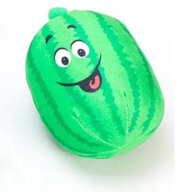Watermelon Ball Toy