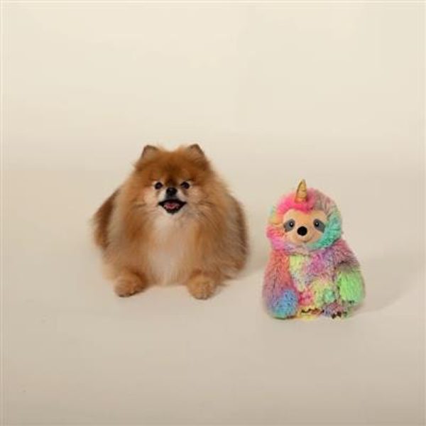 PetShop by Fringe Studio Confetti Betti Slothicorn Plush Dog Toy