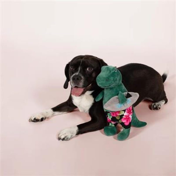 PetShop by Fringe Studio Surfer Bro Rex